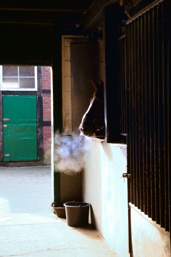 Metal Horse Barns