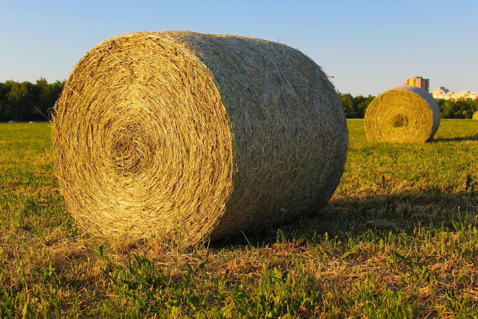 hay storage building