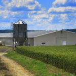 Modern farm buildings with silo and cereal